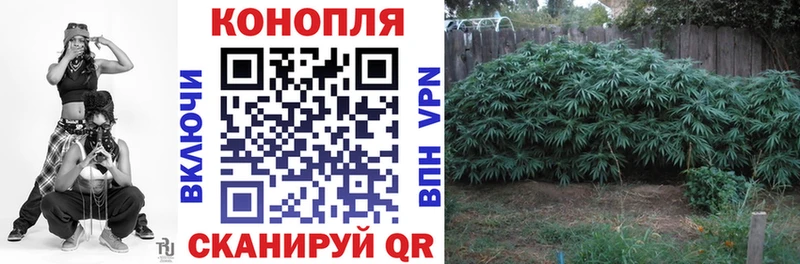 Шишки марихуана конопля  как найти   Шелехов 